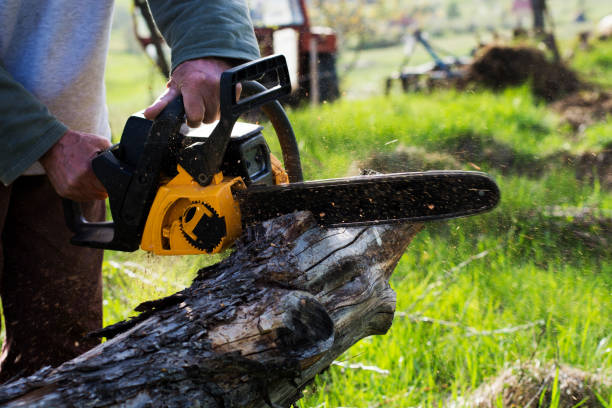 Best Emergency Tree Removal  in Poplar Cotton Center, CA